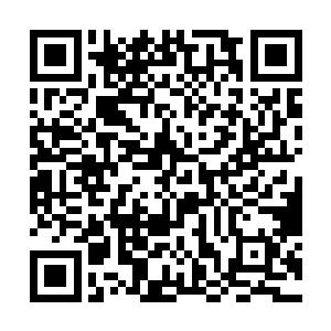 雷欢喜和哈里自由自在的生活从现在开始已经结束了二维码生成