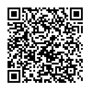雷欢喜真的和他在接受采访的时候一样镇定自若充满了必胜的信心吗二维码生成