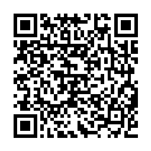 雷耀阳还以拜访表姑的借口没脸没皮的硬留在家里吃了顿午餐二维码生成
