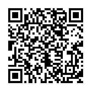 雷雨琴在灵界中尉我们模拟出了类似家乡或者工作地点的环境二维码生成