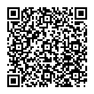 需要和文森特血脉相似的欧洲人种才行……文森特爆出来的也就这两样还算是非常不错的二维码生成