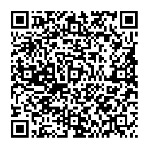 震动之声不绝于耳 伴随一声声惨叫 无数的散修纷纷身陨 甚至都沒有一点反抗之力 直接烟消云散二维码生成