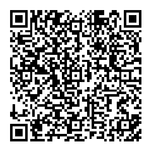 震耳欲聋响彻就笑恐怖万份只是一声咆哮就有化作实质的可能撼动天地不仅是他听到了这方圆万里的生灵不论是修士还是神兽都感受到了二维码生成