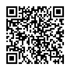 霸王乌贼的几只触手几乎是瞬间就到了海皇波塞冬的面前了二维码生成