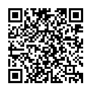 青壮愿意从军者就裹挟上…………不过咱们卷了这么多粮食走二维码生成