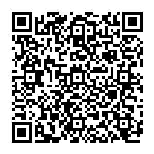 青帝世界似乎没有了母型方舟势在必得之物……不过我们世界也应没有对方感兴趣之物二维码生成