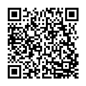 青帮从来都是以最为严酷的手段反击回去的……这样强硬的手段二维码生成