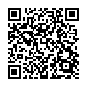 青年估计到现在都没明白自己的先天灵气和法术为什么用不出来二维码生成