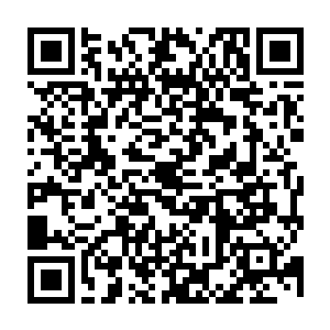 青年猥琐的站在四周绿色平原的空地中等待着王勇将那个第四代僵尸引来二维码生成