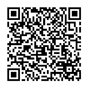 青木天牛体表的那一层青木浑天元罡罩也着实了得……挨了这样凶横一击二维码生成