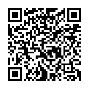 青梅嗅的器魂估计是在先前的大爆炸当中彻底爆发出自己的愤怒二维码生成