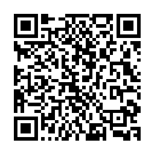青海岛的阵法遭受到妖兽的攻击又开始散发出一阵璀璨的光芒二维码生成