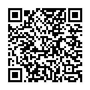 青珠注意力完全转移到了攻击母型方舟来救援伶的元神和道躯上二维码生成