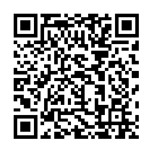 青石板上的街道有着微微的浅绿色的青苔和细碎的小石子二维码生成