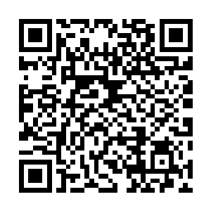 青绿色的木系本源力量跟赤红色的火系本源力量不断交融二维码生成