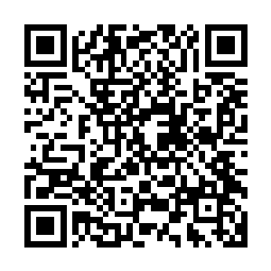 青色的巨蛟也就是蛟无忌一双恐怖的巨眼也充满了滔天的煞气二维码生成