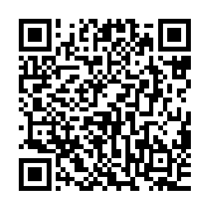 青谊结鬼章正在巨浪一样的的冲击郎坦和孙大志把守的山谷口二维码生成