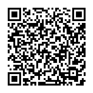 非得在和他们刚发生冲突的当晚就迫不及待的把他们的少馆主给杀了么二维码生成