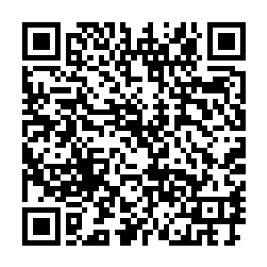非急诊值班的大部分医生护士以及苏以爸爸在医疗系统里的熟人朋友二维码生成