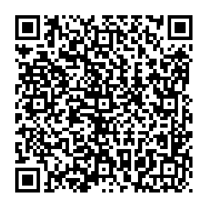 非盟和平与安全事务委员斯梅尔·谢尔吉在阿尔及尔召开的非洲恐怖主义研究中心年度会议上表示二维码生成