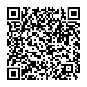 非让我们站在跟他相等的智商上去讨论一个关于生存和发展的问题二维码生成