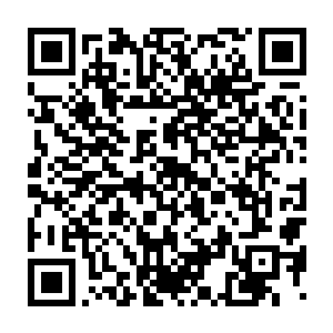 靠在墨修尧怀中往他看的方向望去不一会儿便听到了清脆的交谈声二维码生成