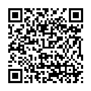 靠的就是一股想活下去的不怕死的精神在支撑着你们二维码生成