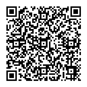 靠着这样的精确 他守在了100楼 守了很久都未曾出过什么事情 更何况这小小的一个袭击者二维码生成