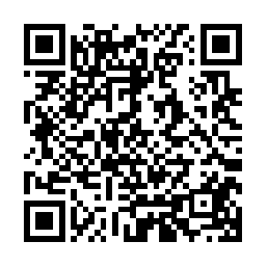 面临的一个根本问题就是一旦冰原巨熊与艾斯基尔城真正开战二维码生成