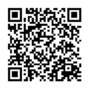 面前的楚暮不知道何时变成了一道残影在他们的剑下缓缓消散二维码生成