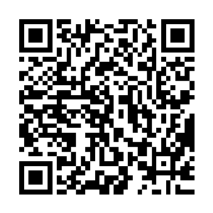 面孔跟刚才的女巨人依稀有几分相似的女皇出现在了雷林的身边二维码生成