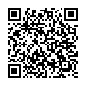 面对流墨墨他们明显不对劲的表情和流清茶和流小乖惊奇的目光二维码生成