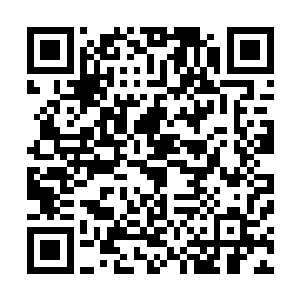 面对着已经将仓泽给打的逃遁的秦宇他们不敢有任何的心思二维码生成