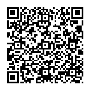 面对这些灵兽他们除了体型优势和对阳光的充分利用他们是没有任何其他优势可言的二维码生成