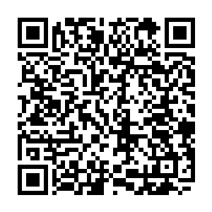 韩佳翔五人的修为对众人的冲击也太大了而且融合后的修为在众人的经脉中运转二维码生成
