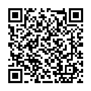 韩天秦声音难掩讶然问询我是哪个告诉我的这消息二维码生成