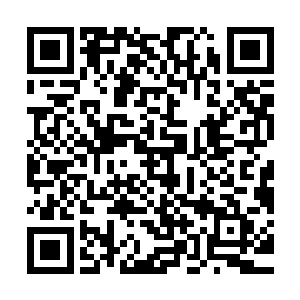 韩强他们在林可儿的示意下已经在二中揪出了十几个星火的成员二维码生成