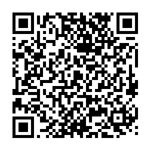 韩思目眦欲裂的看着燕离挟凌厉之势的掌风就那样生生的往燕文素的头上拍二维码生成