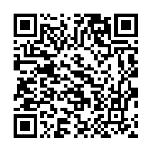 韩风可不想吸收了血色果实和血核实力增强后便成了疯子二维码生成