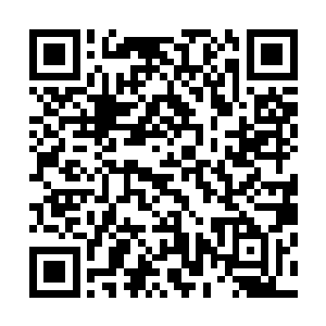 韩风现在的综合实力不惧一些根基稍弱和普通的一二阶神皇二维码生成