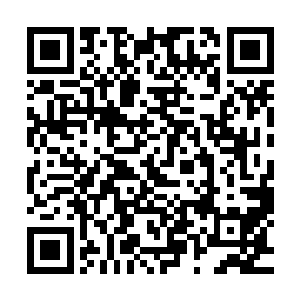 顶多也就是各县信用社会碍于各县县委县府面子给些贷款指标二维码生成