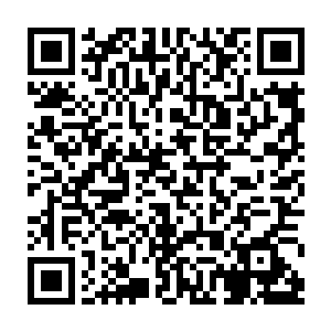 顶多还能将秦方从死亡线上拉回来一次而已……可插翅巨虎的实力太强横了二维码生成