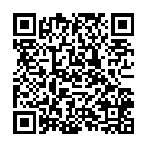 顷刻间他的符咒境界瞬间到达了符圣境界后期顶峰了二维码生成