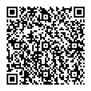 顺便到现在她都觉得当时警察们知道白兰用猫爪子拆炸弹的时候的表情一定是画面太美不敢看系列二维码生成