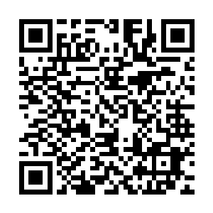 顺便找个帮手……你怎么连一点代价都没让他付出就直接放行了二维码生成
