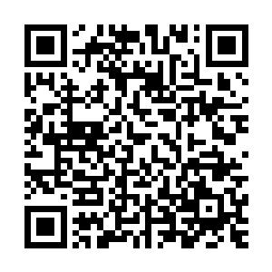 顺便还记住了绝大部分尸体还比较完整的死者的长相……因此二维码生成