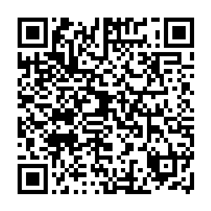 顺势问到是否把与他合作项目的一位医学家所著部分数据用到她的论文中二维码生成