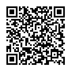 顾倾欢表示已经很深刻地认清了这只御闷骚的真实面目二维码生成