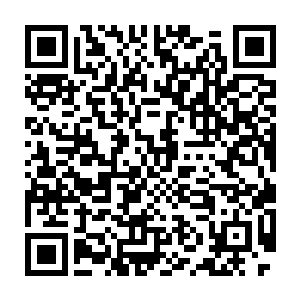 顾可可和桑晓桐两人在姬可馨家门前不远的树丛里一直蹲到了天黑二维码生成
