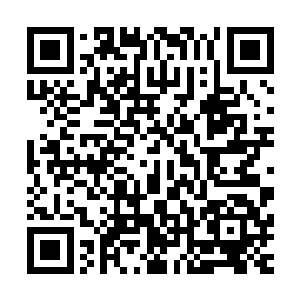 顾家航又指着另外一位长相俊美得跟女人似的男子继续介绍道二维码生成